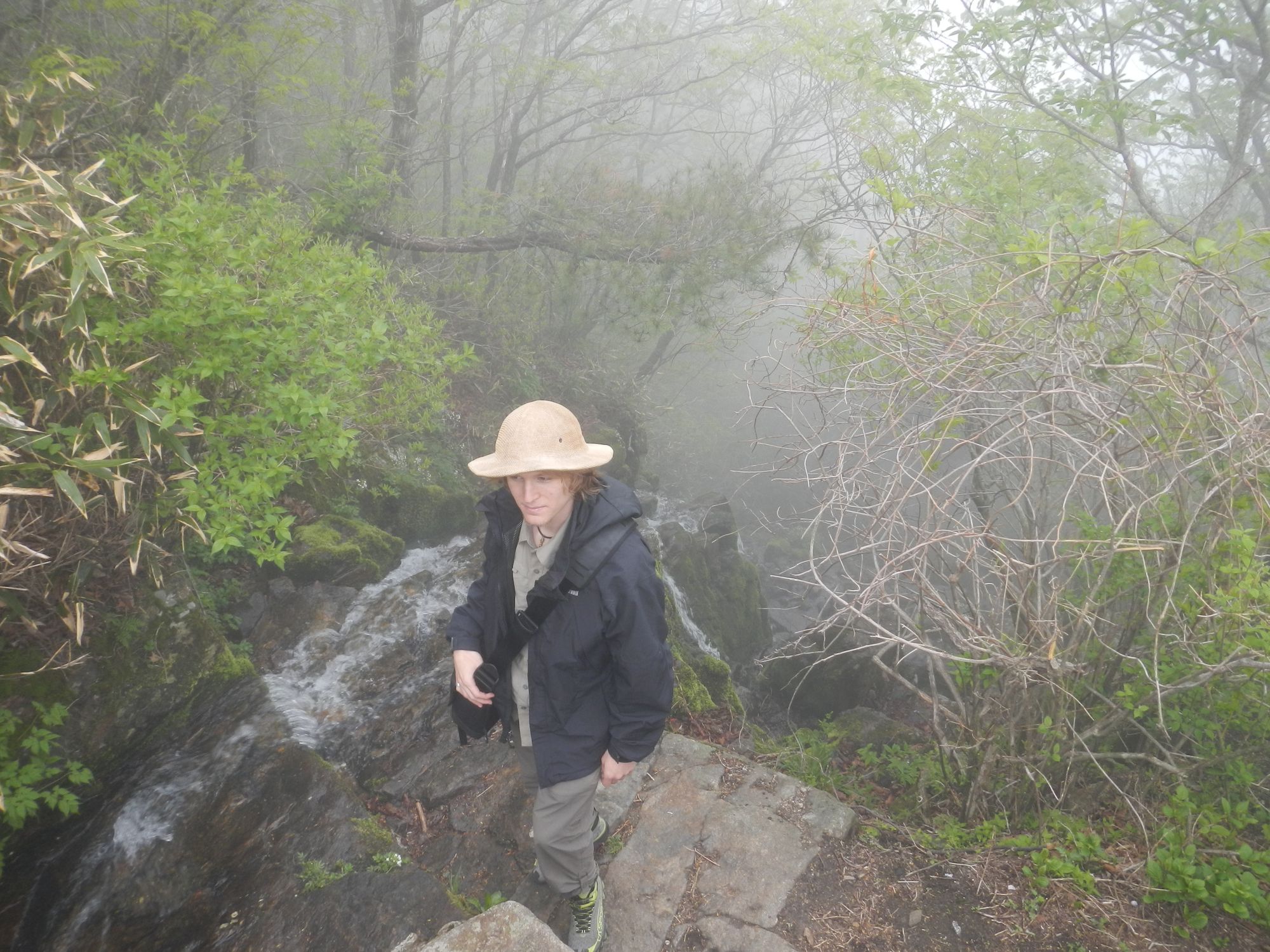 Jason hiking up the tea mountain in Korea